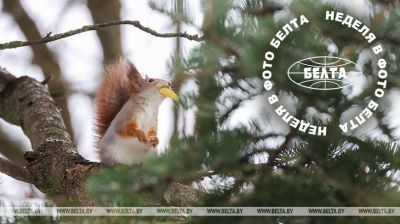 ЛЕПШЫЯ ФОТА ТЫДНЯ ПА ВЕРСІІ БЕЛТА
