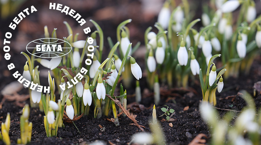 ЛЕПШЫЯ ФОТА ТЫДНЯ ПА ВЕРСІІ БЕЛТА