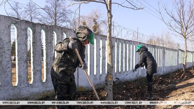 Акцыя "Лес! Дабро! Парадак!" стартавала ў Беларусі