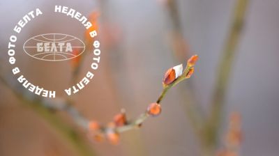 ЛЕПШЫЯ ФОТА ТЫДНЯ ПА ВЕРСІІ БЕЛТА