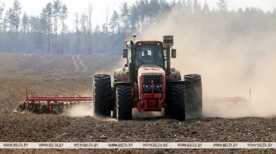 Аграрыі Светлагорскага раёна актыўна ўключыліся ў пасяўную кампанію