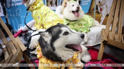 Старт новага сезона. Міжнародная выстаўка-кірмаш "Адпачынак-2026" адкрылася ў Мінску