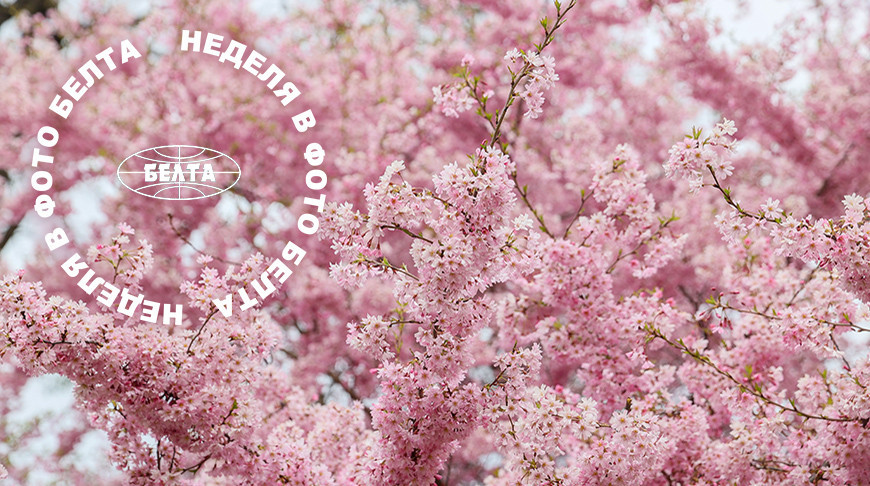 ЛЕПШЫЯ ФОТА ТЫДНЯ ПА ВЕРСІІ БЕЛТА