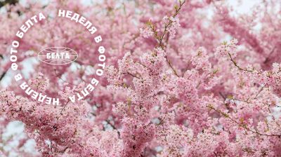 ЛЕПШЫЯ ФОТА ТЫДНЯ ПА ВЕРСІІ БЕЛТА