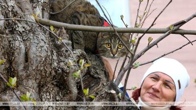 Мінск. Прагулка па старых кварталах  