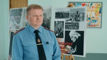 Што рабіць, калі вы трапілі ў ДТЗ з дзікай жывёлай?