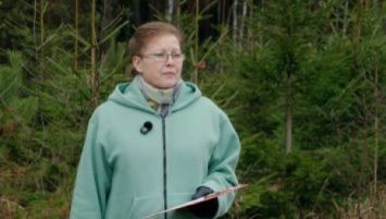 З лесу ў дом: як выбіраюць елкі для ёлачных базараў, дзе яны растуць і колькі каштуюць