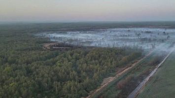 Больш за 6 тыс. пажараў з пачатку года адбылося ў прыродных экасістэмах