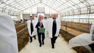Лукашэнка ў ходзе рабочай паездкі ва Уздзенскі раён азнаёміўся з развіццём племянной жывёлагадоўлі